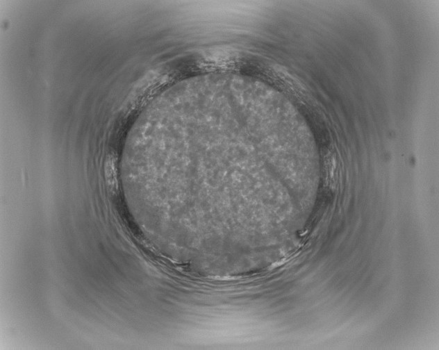 X0000070390699200607072219