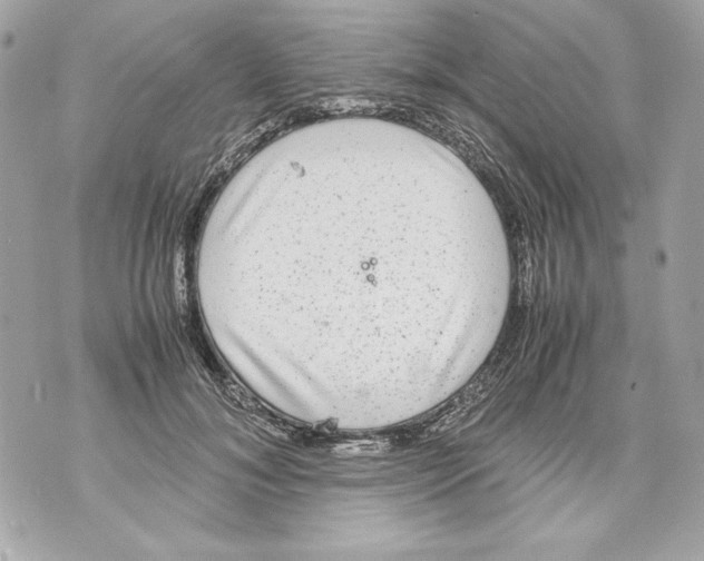 X0000070390700200607072219