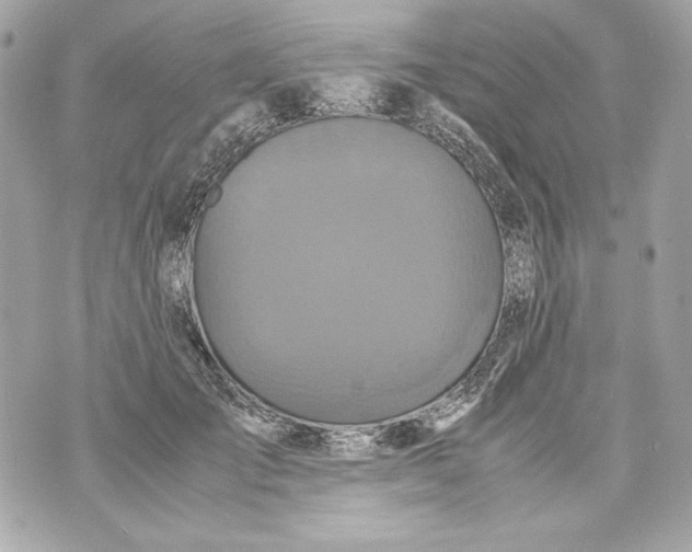 X0000070390701200607072219