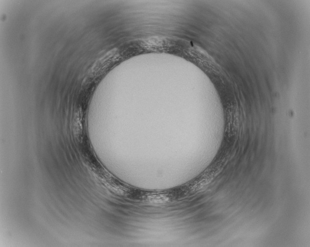 X0000070390702200607072219