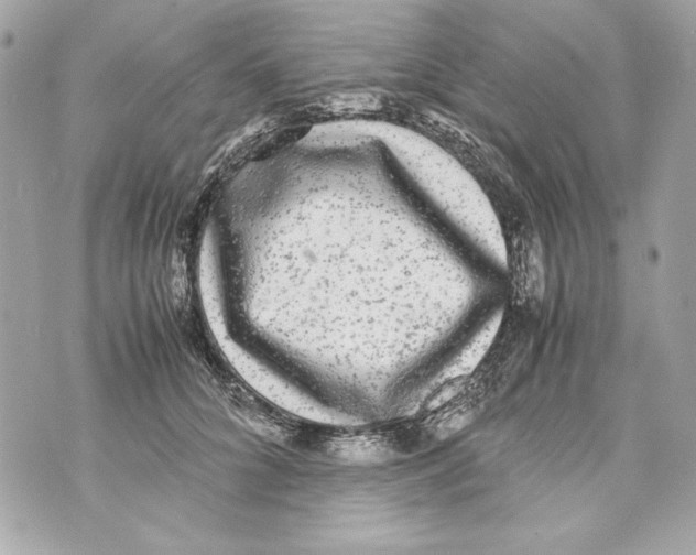 X0000070390704200607072219