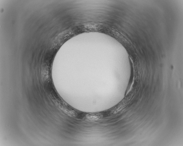 X0000070390706200607072219