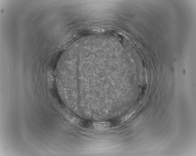 X0000070390707200607072219