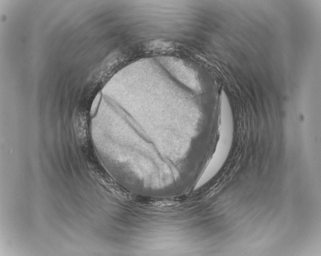 X0000070390708200607072219