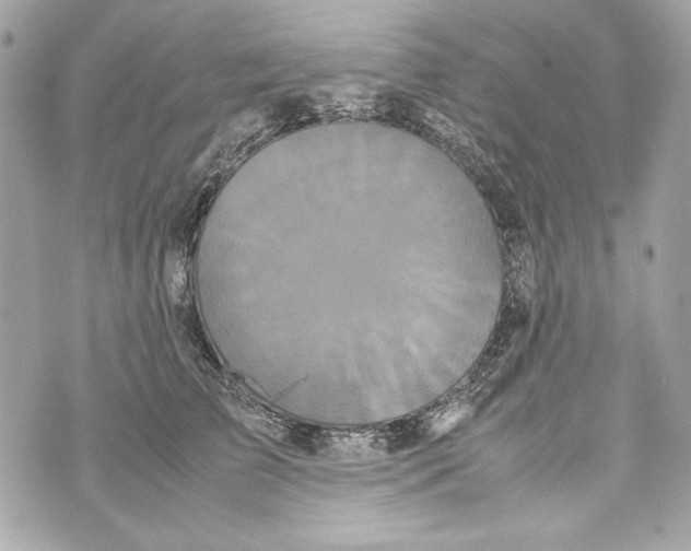 X0000070390709200607072219