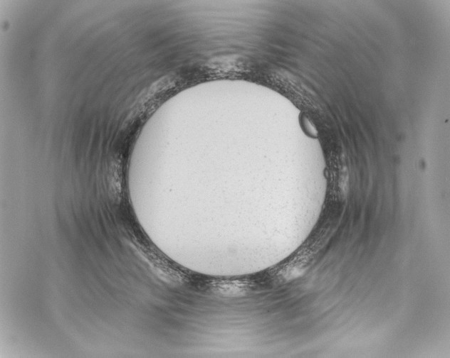 X0000070390710200607072219