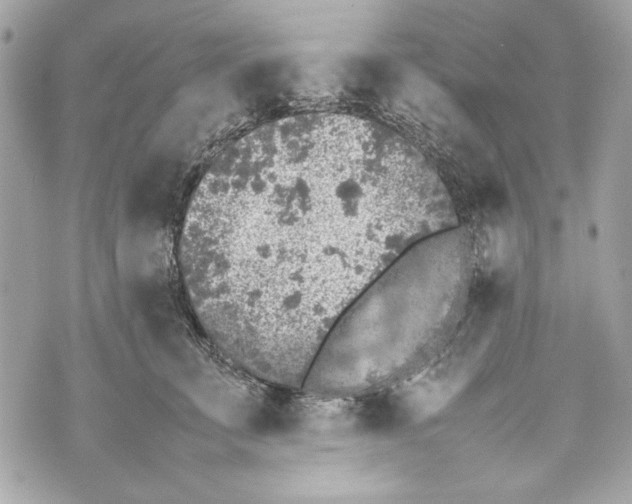 X0000070390711200607072219