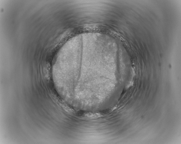 X0000070390712200607072219