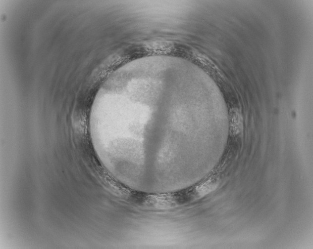 X0000070390713200607072219