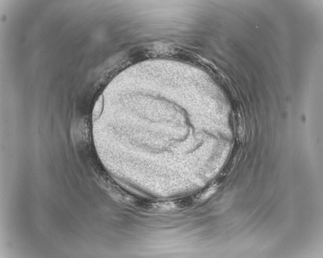 X0000070390715200607072219