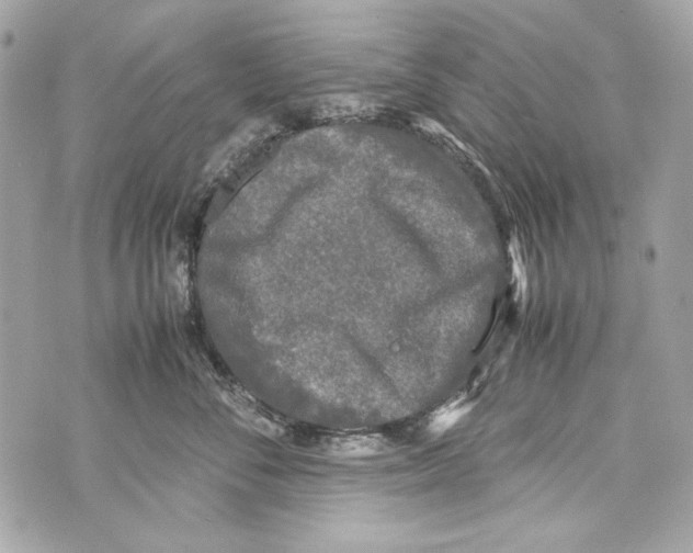 X0000070390716200607072219