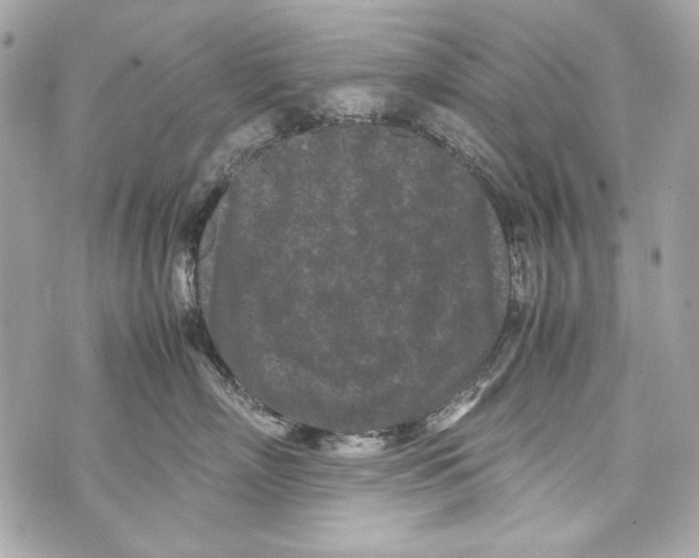 X0000070390718200607072219