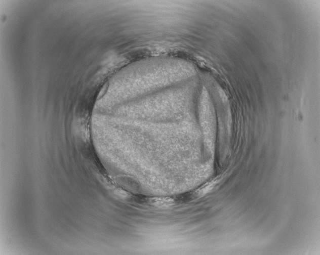 X0000070390719200607072219