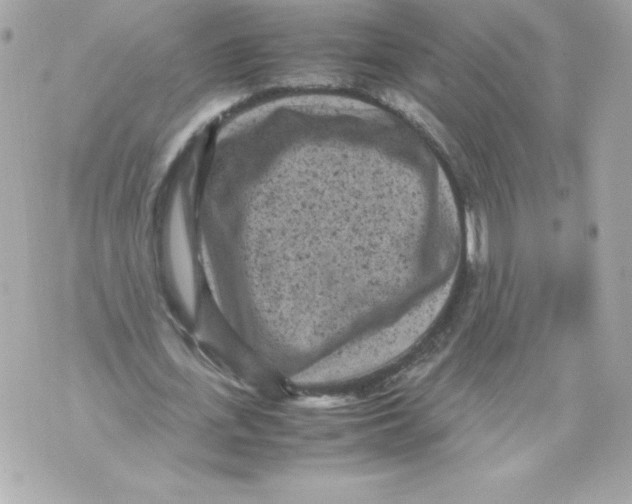 X0000070390723200607072218