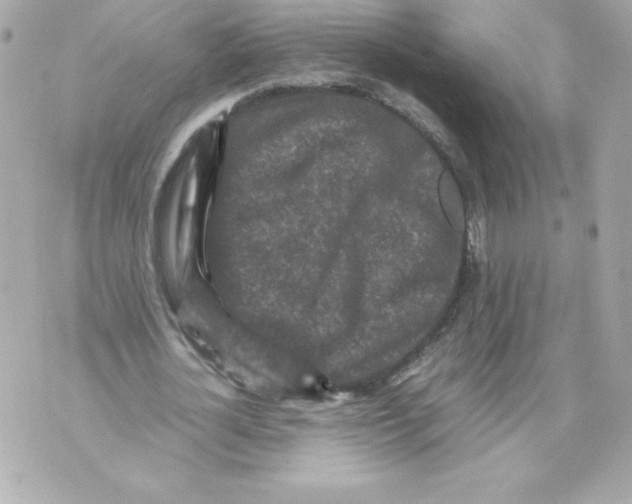 X0000070390724200607072218