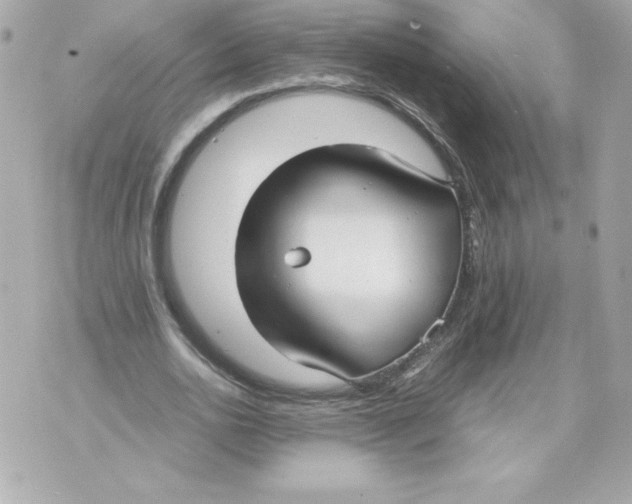 X0000070390726200607072218