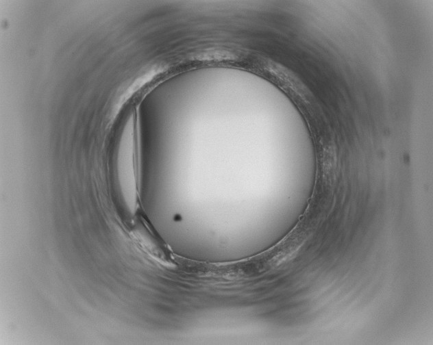 X0000070390727200607072218