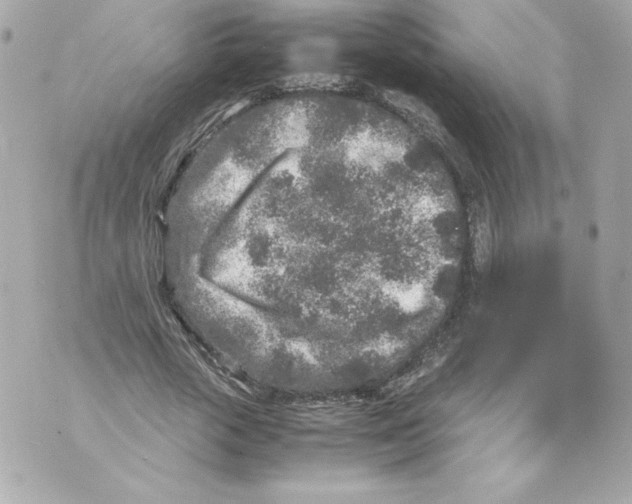 X0000070390729200607072218