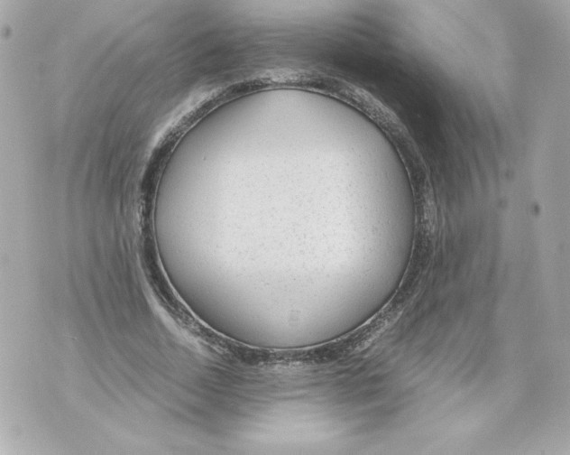 X0000070390730200607072218