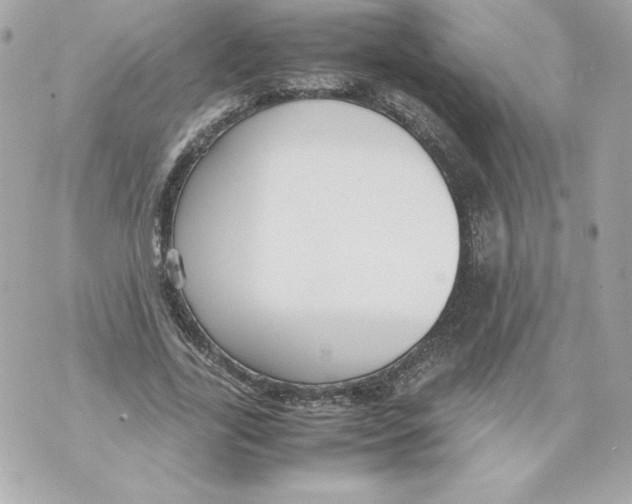 X0000070390731200607072218