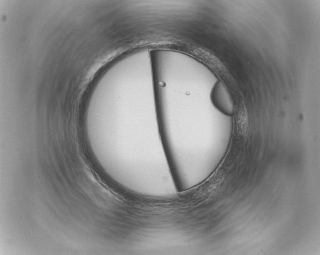 X0000070390732200607072218