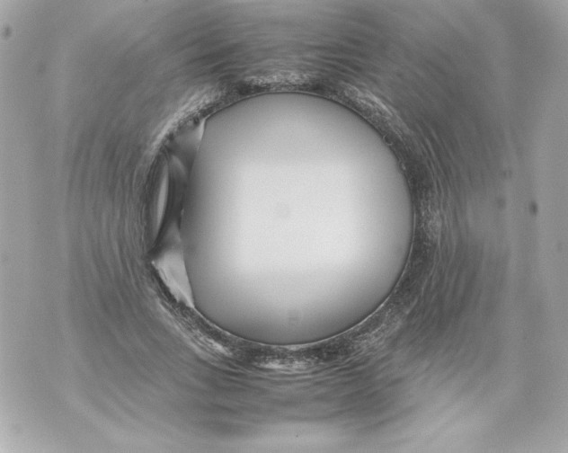 X0000070390735200607072218