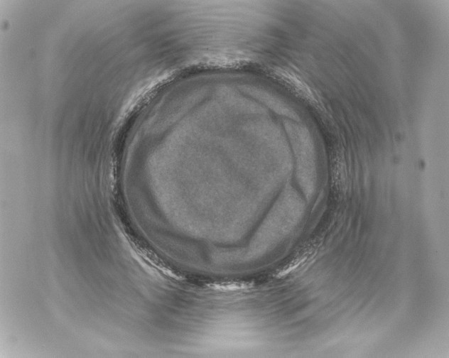 X0000070390736200607072218