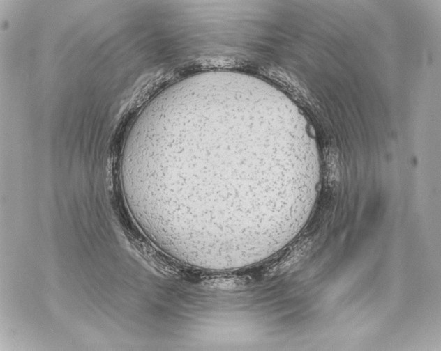 X0000070390738200607072218