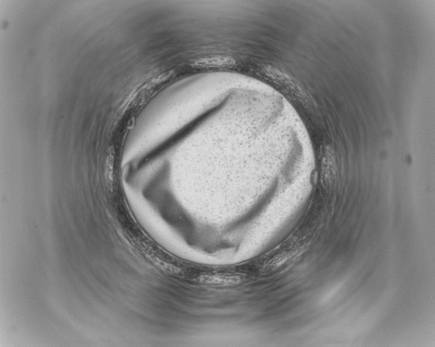 X0000070390739200607072218