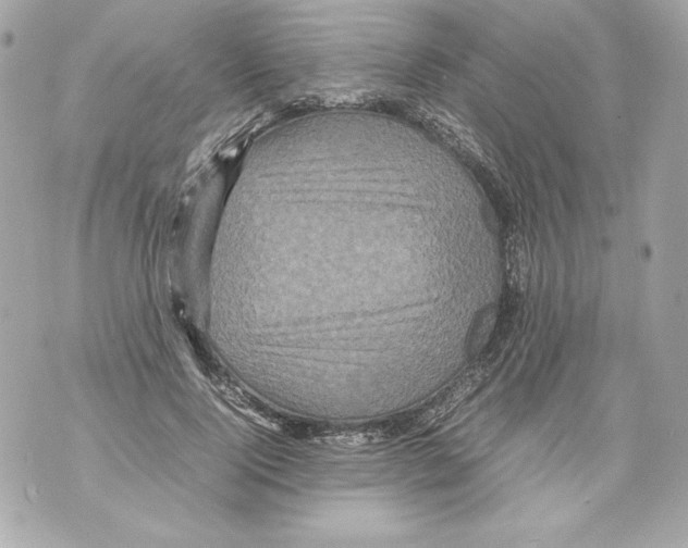 X0000070390740200607072218