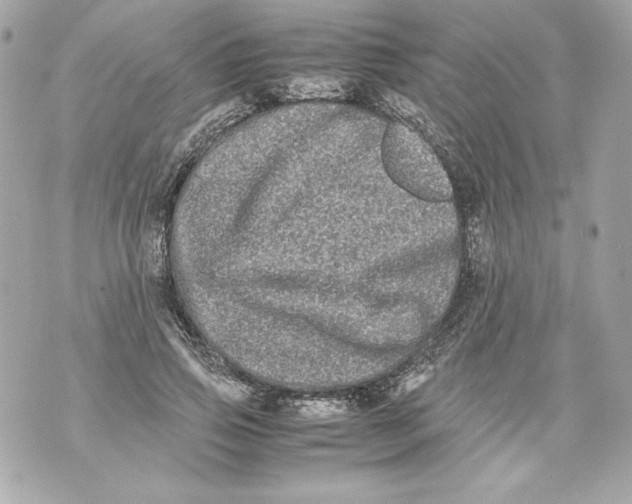 X0000070390741200607072218