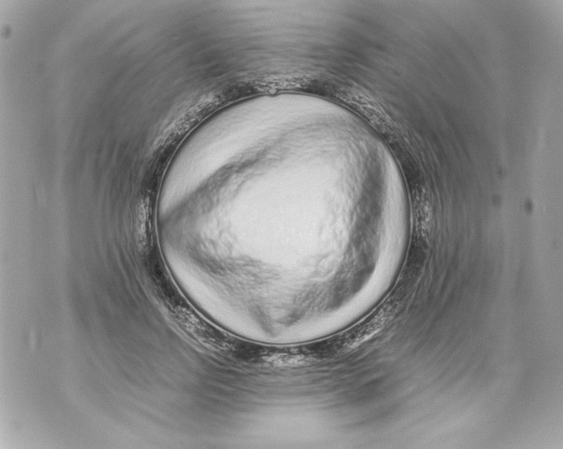 X0000070390742200607072219