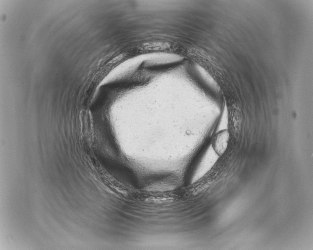 X0000070390745200607072219