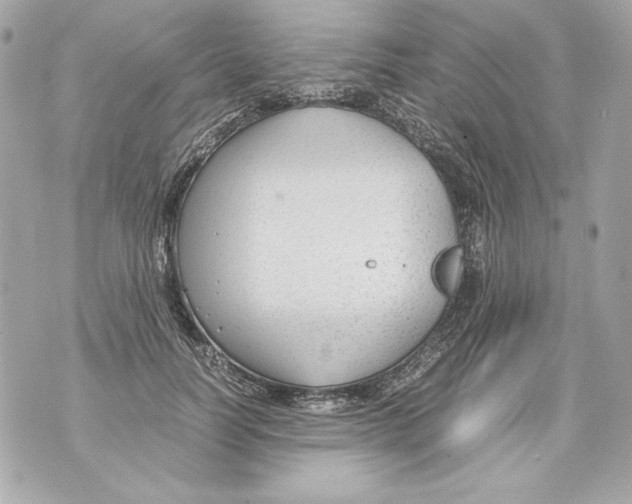 X0000070390746200607072219