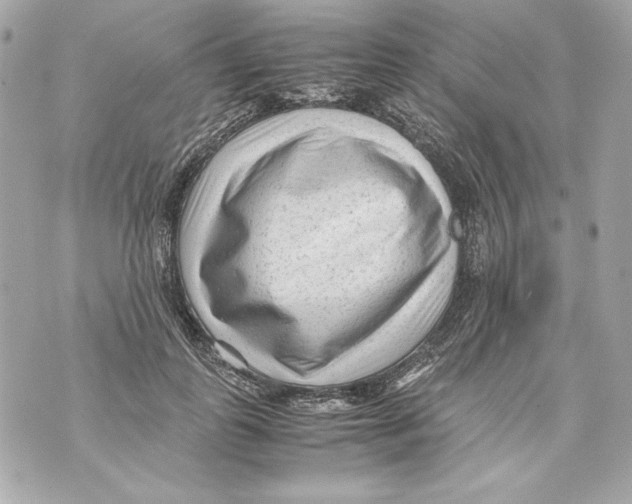 X0000070390747200607072219