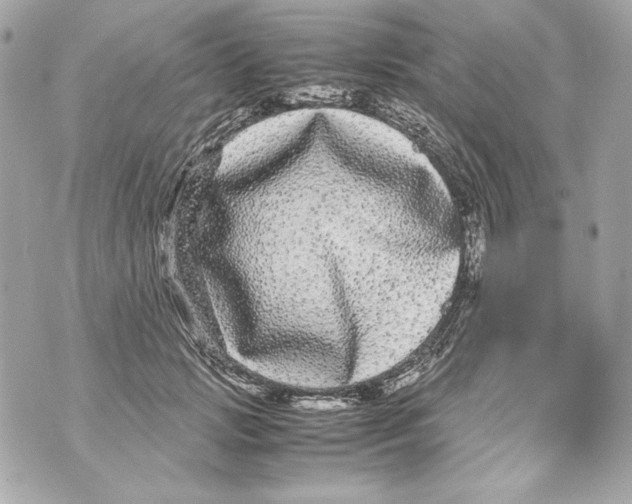 X0000070390749200607072219