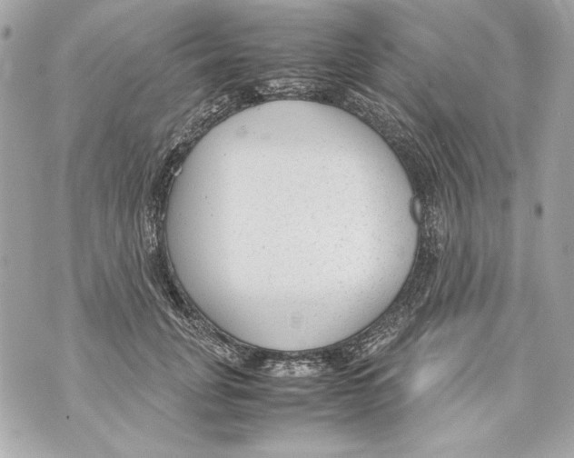 X0000070390751200607072219