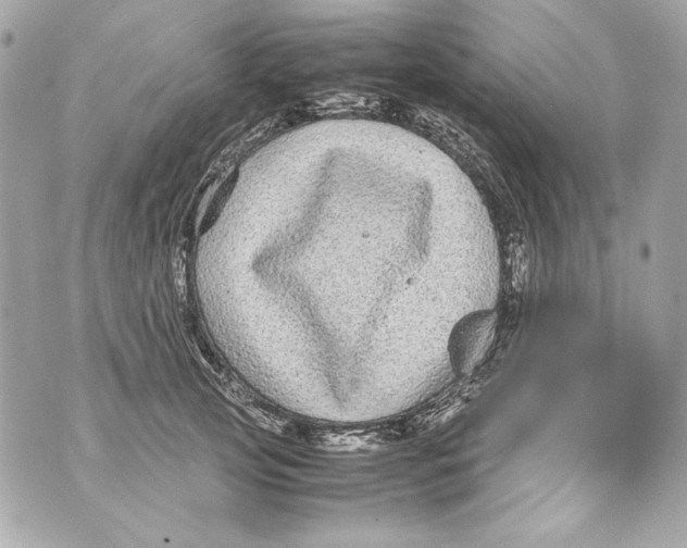 X0000070390753200607072219