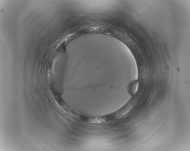 X0000070390754200607072219