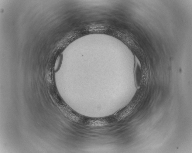 X0000070390755200607072219