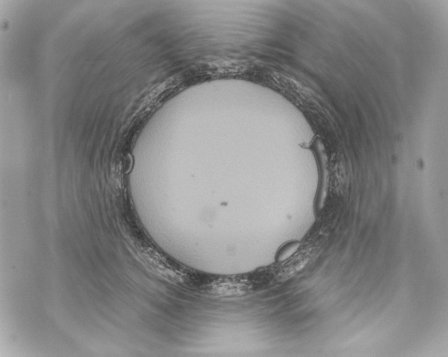 X0000070390756200607072219