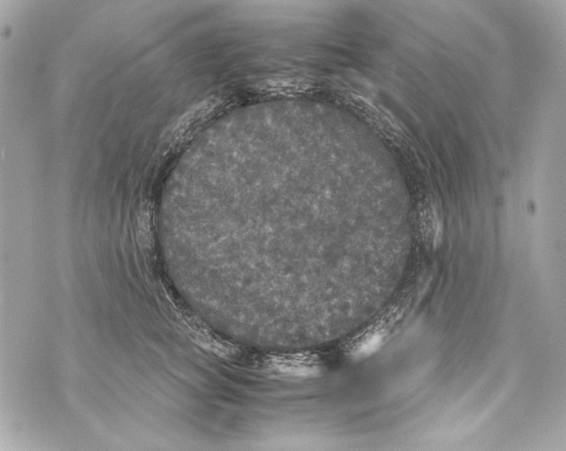 X0000070390757200607072219