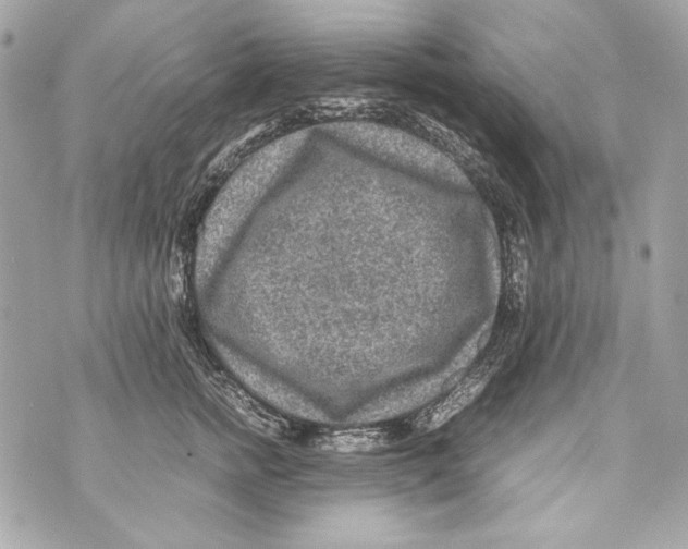 X0000070390758200607072219