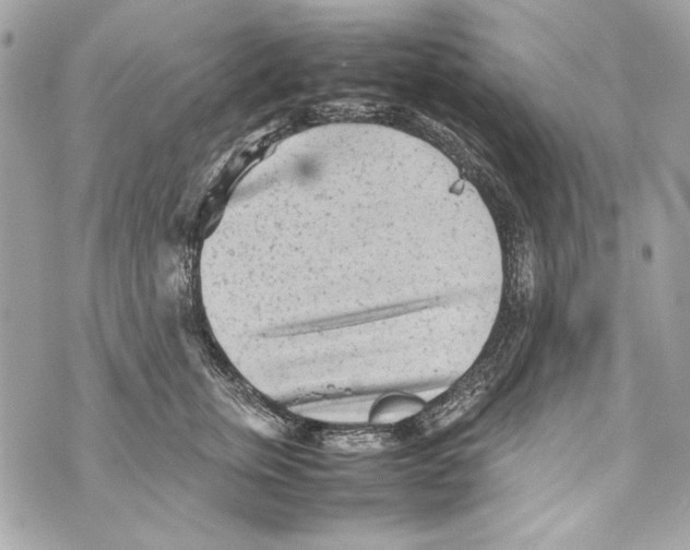 X0000070390759200607072219