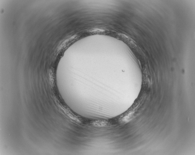 X0000070390762200607072219