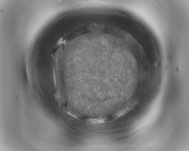 X0000070390765200607072219