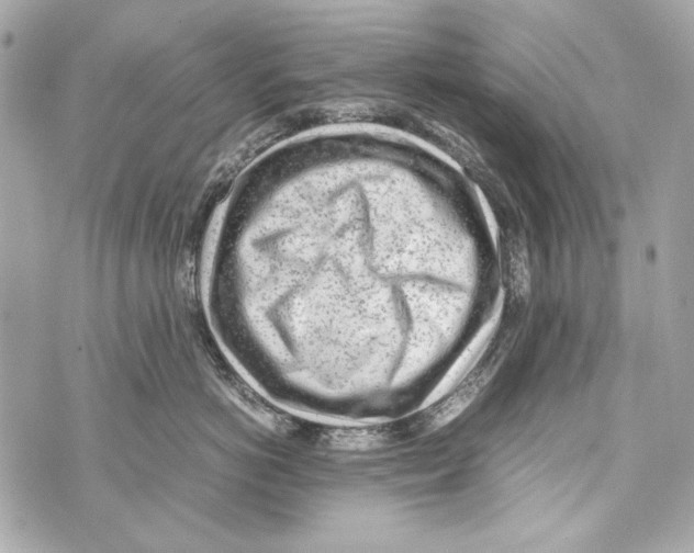 X0000070390766200607072219