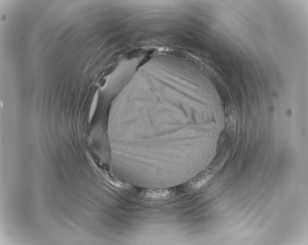 X0000070390767200607072219