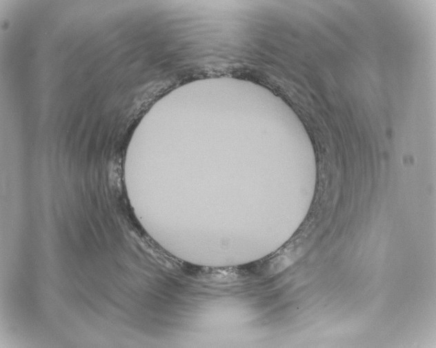 X0000070390768200607072219