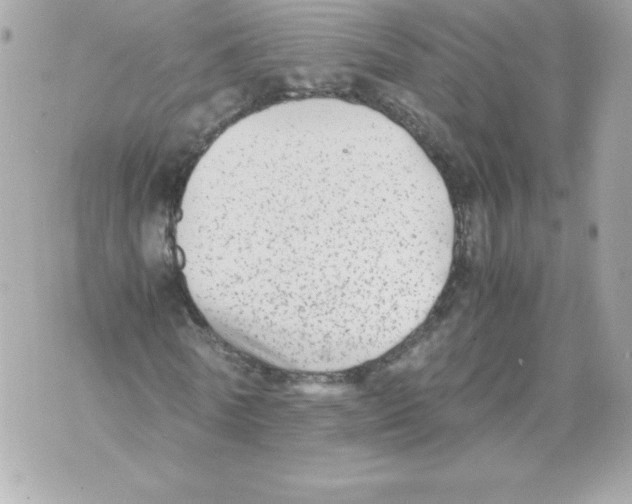 X0000070390770200607072218